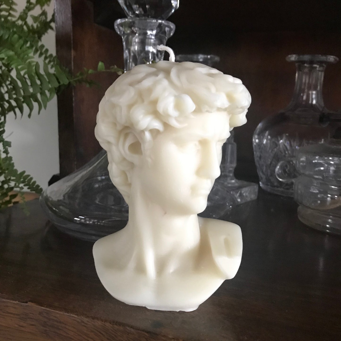 Michael Angelo’s David